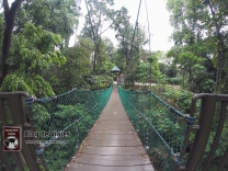 Kuala Lumpur - Canopy Walks (1)-mod