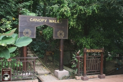 Kuala Lumpur - Canopy Walks (4)-mod